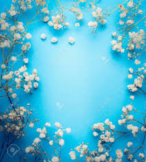 Gypsophila Baby S Breath Flowers On Blue Background White Flowers Frame Top View Copy Space Stock Photo Picture And Royalty Free Image Image 81344850