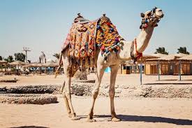 Hurghada is the perfect place to end your trip. Oferte Hurghada Egipt