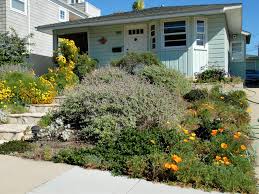 California Native Curb Appeal California Native Plant Society