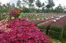 Check spelling or type a new query. Flowers Farm In Zamboanga City Beautiful Zamboanga Facebook