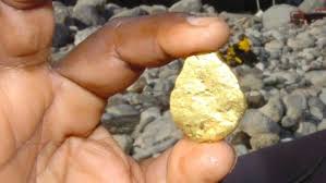 La pepita de oro de 218 gramos encontrada en Talarrubias se exhibe ...