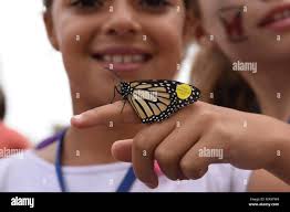 Carlsbad fish and wildlife office hi-res stock photography and images