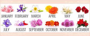 Zodiac signs define our personality and they provide distinct traits of each individual, based on the birth month and date. Check Your Floral Zodiac Sign Reveal Who You Really Are