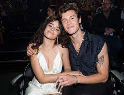 Camila cabello performs first solo tv performance on bbmas with single crying in the club camila cabello brought her new solo single crying in the club to the billboard music awards on sunday night. Shawn Mendes Camila Cabello Adoptieren Hund Tarzan Bigfm