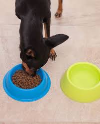 High prairie is one of 9 dry recipes included in our review of the taste of the wild product line. Fda Warns Certain Dry Dog Foods May Be Linked To Canine Heart Disease Abc News