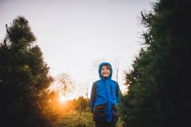 A young man in jeans, sunglasses and tshirt leaning against an old maple tree near a page wire fence playing. Happy Boy Wearing Hooded Jacket While Standing By Pine Trees On Field Against Clear Sky During Sunset Stockphoto