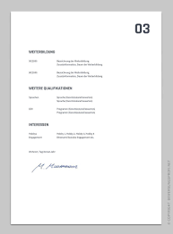 Application Titanus With Cv German Template Pattern For Word Openoffice And Google Docs In 2020 Words Discussion Strategies Types Of Resumes