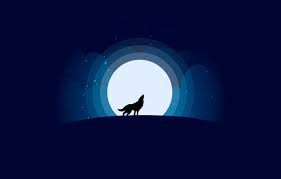 1920x1200 simple background wallpaper hd. Wallpaper Moon Minimalism Stars Wolf Animal Digital Art Artwork Silhouette Wild Simple Background Howling Images For Desktop Section Minimalizm Download