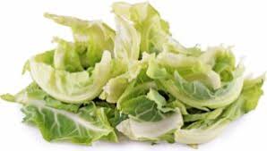 As we have documented earlier the cauliflower is high on nutrients but low on calories. Can Rabbits Eat Cauliflower Florets Stalks Leaves