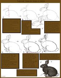 How To Draw A Rabbit Bunny Art Homeschool Art Bunny Drawing