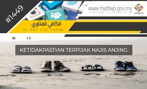 Alhamdulillah, pujian dan syukur kepada ilahi dengan pelbagai kurniaan dan anugerah yang tidak terhitung buat kita semua. Pejabat Mufti Wilayah Persekutuan Al Kafi 1449 Ketidakpastian Terpijak Najis Anjing