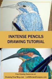 Inktense Pencils Drawing Tutorial Colored Pencil Techniques Watercolor Pencils Techniques Pencil Drawing Tutorials From the very beginning colored pencil was veronica's medium of choice and she has shown formidable skill.