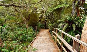 نتیجه جستجوی لغت [reunion] در گوگل