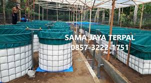 0857 3222 1751 Pusat Jual Kolam Terpal Kotak Surabaya Medan Balikpapan 0857 3222 1751 Pusat Jual Kolam Terpal Samarinda Surabaya Medan Balikpapan