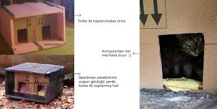 Kedi Evi Yapimi Veni Vidi Witch