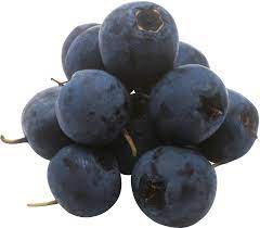 Blueberrys Png Image Blueberry Moodboard Pngs Png