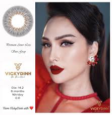 Premium Amor Lens Sun gray