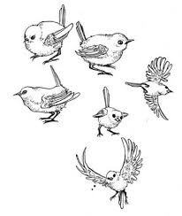 Bird With Wings Spread Drawing Pin Op Tekenen