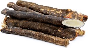 Salsify Root Resembles A Long Thin Parsnip Only Slightly Tapering In Shape Salsify Can Grow As Long As A Carrot The White Variet Wild Food Tasting Parsnips