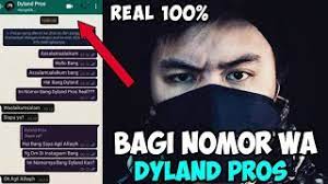 Windermere is a great entry level company to work for. Nomor Wa Dyland Pros Asli 2020 Youtube