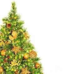 We did not find results for: Christmas Tree Border Photograph By Anna Om