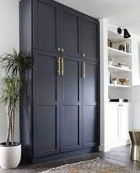 Pin By Paola Cury Arquitetura E Engen On Dveri Living Room Storage Cabinet Build A Closet Pantry Wall