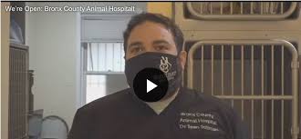 Bronx County Animal Hospital