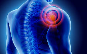 At det sandsynligvis er dagligdags aktiviteter som over længere tid opbygger spændinger og stivhed i skulderens muskler og led. Ondt I Skulderen Hyppige Arsager Sundhed Med Mening