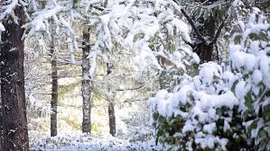 Named after úlfljótur who is said to have been iceland's first law speaker. Beautiful Nature Scene With Snow Stock Footage Video 100 Royalty Free 12245669 Shutterstock