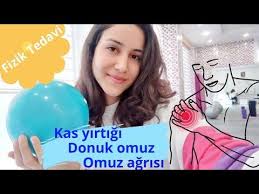 Kol Kas Yirtigi Omuz Agrisi Fizik Tedavi Youtube 2020 Kol Kaslari Kas Fizik