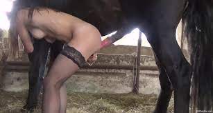 Black stockings beauty fucked by a hung horse - XXXSexZoo.com