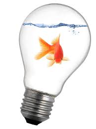 Does A Goldfish Fish Know That It S In A Lightbulb It S Like Humans Still Not Sure What Kind Of Dimension Abstracte Fotografie Fotografie Ideeen Fotografie
