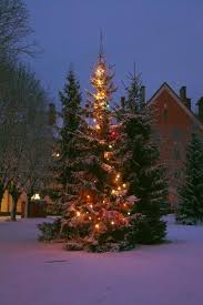 Christmas In Chicago So Pretty In The Snow Christmas Lights Holiday Season Christmas Christmas Tree Lighting