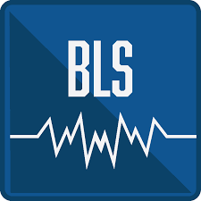 If you wish to obtain bls certification, bls recertification, or bls for life, please view the. Basic Life Support For Healthcare Provider Lsti