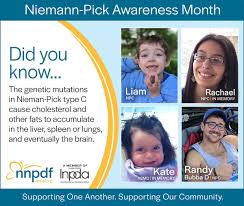 There are three common forms of the disease: Nnpdf On Twitter Niemann Pick Awareness Month Learn More Information About Niemann Pick Disease At Https T Co 8pyblb6rk8 Support The Nnpdf Even A Small Gift Will Make A Difference Supporting One Another Supporting Our Community Nnpdf