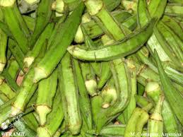 Image result for Abelmoschus esculentus