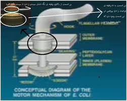 نتیجه تصویری برای اسامی فیلم های تاریخی که تابه حال ساخته شده