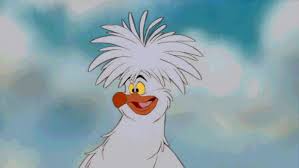 Bird From Little Mermaid Https Encrypted Tbn0 Gstatic Com Images Q Tbn 3aand9gcr9avtavdolly Mfgjtdszxvwl1fw3zqo0uog Usqp Cau