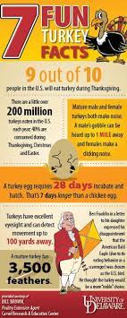 7 Fun Turkey Facts To Memorize So You Can Impress The Guests At Your Thanksgiving Table Turkey Facts How To Memorize Things Female Turkey