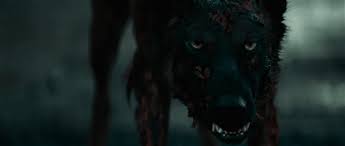 Don T Bite The Hand That Feeds You Gif Https Encrypted Tbn0 Gstatic Com Images Q Tbn 3aand9gcqap3pjw3jfr1cdjg3w4ksqw5m0kgjf6pnwmw Usqp Cau