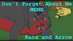 Kara And Arrow Don T Forget About Me Meme Youtube