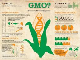 Transgenic animals can be used to make these biological products too. Gmo Genetically Modified Organism Visual Ly