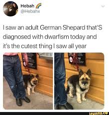 Pin By Sky Nolin On Animals Cute Animals Funny Animals Cute Little Animals