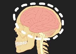 Pin On Chronic Pain Science