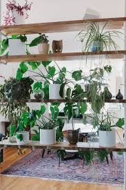 Indoors Or Out Tips For Creating A Vertical Garden Room With Plants Plant Decor Indoor Plant Decor