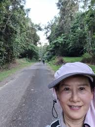 Bellenden Ker w ching, kerry, terry, cam рута