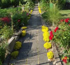 Gartenverein Erholung Schwerin