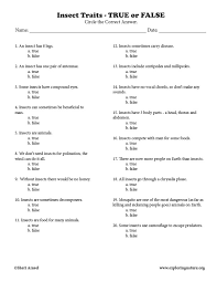 How much do you understand yourself and how others think of you? 5 Year Old Animal Quiz