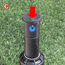 Check spelling or type a new query. Sprinkler System Tune Up