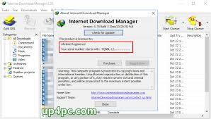 It has recovery and resume capabilities to restore the interrupted downloads due to lost connection, network issues, and power outages. Free Download Idm Full Rutunradu S Ownd